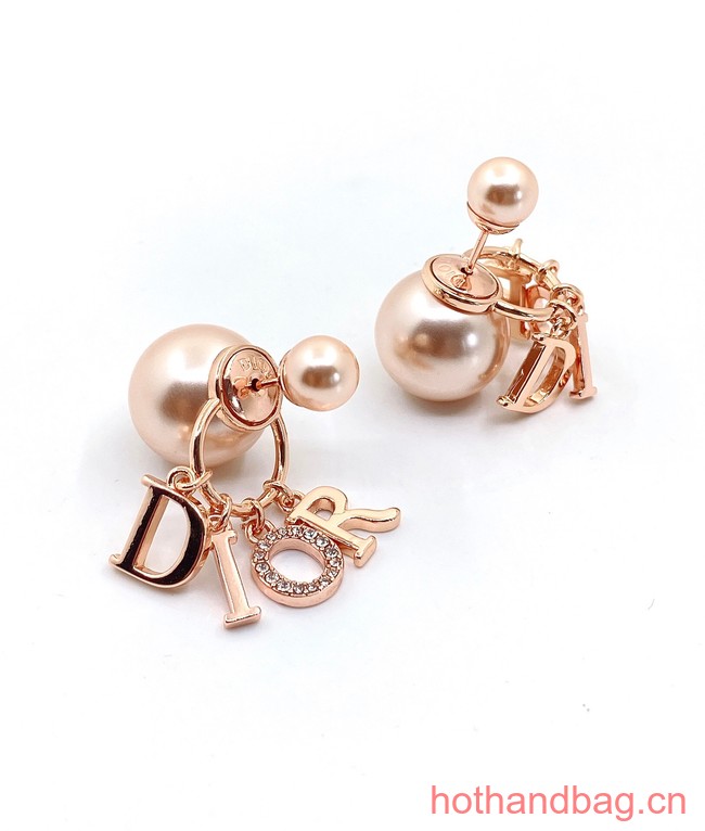 Dior Earrings CE12834