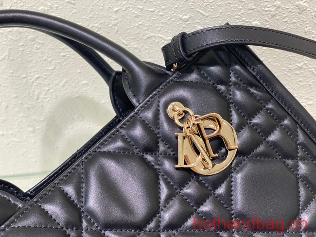 SMALL DIOR BOOK TOTE Black Calfskin M1295ZG