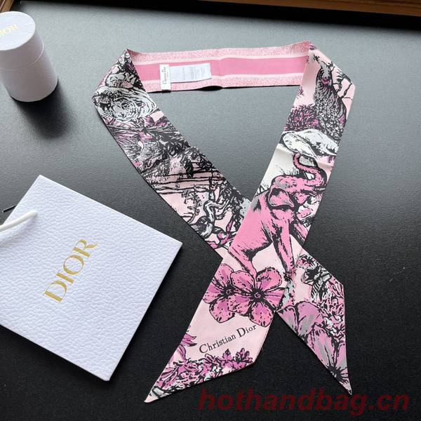 Dior Scarf DIC00214