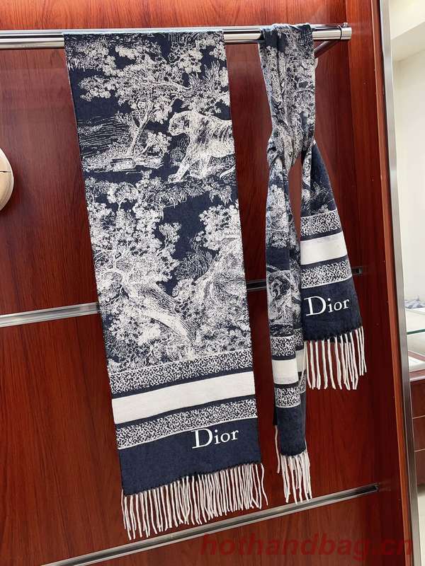 Dior Scarf DIC00217