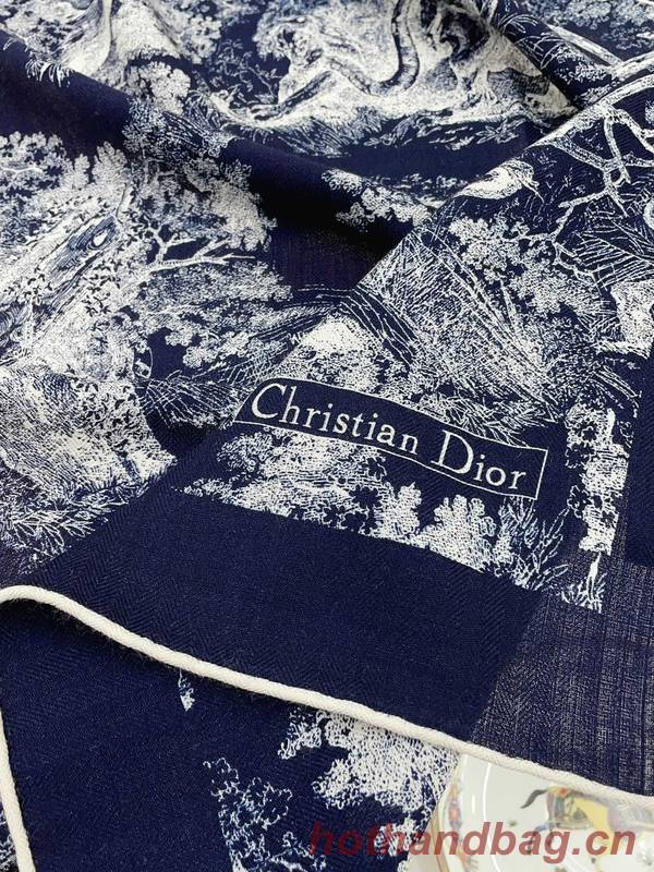 Dior Scarf DIC00226