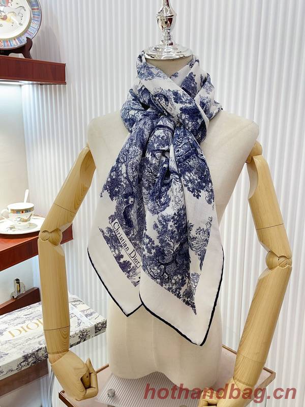 Dior Scarf DIC00228