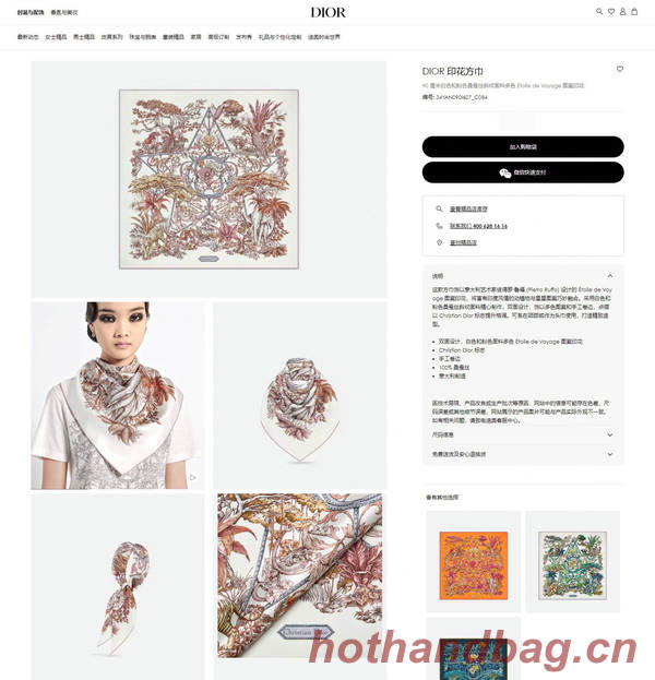 Dior Scarf DIC00255