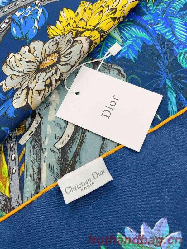 Dior Scarf DIC00257