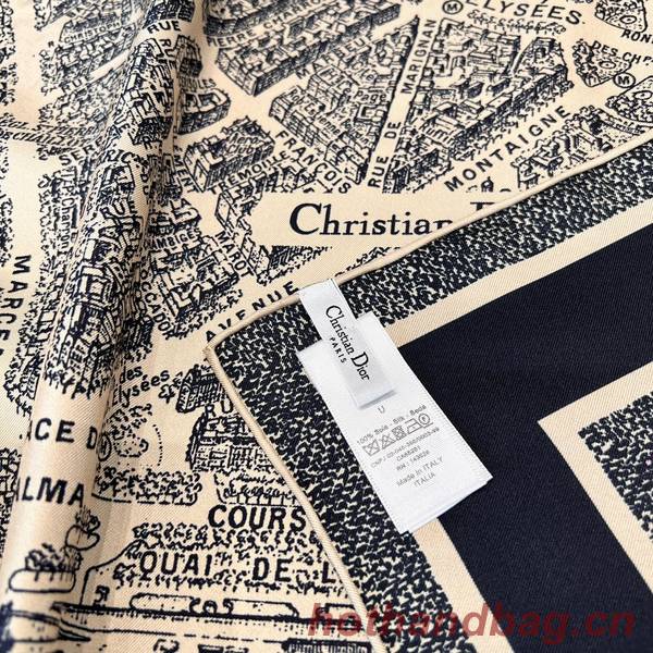 Dior Scarf DIC00261