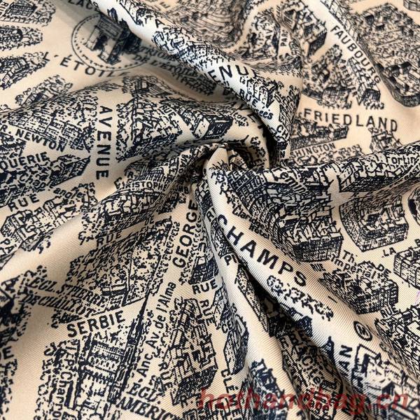 Dior Scarf DIC00261