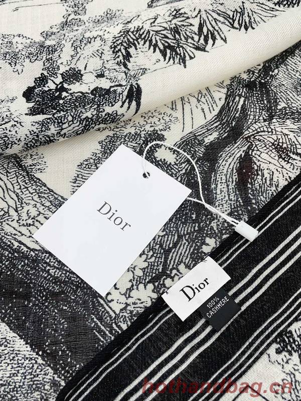 Dior Scarf DIC00299