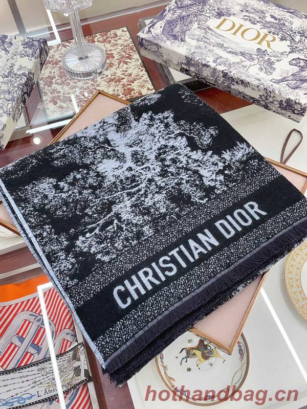 Dior Blanket DIC00342