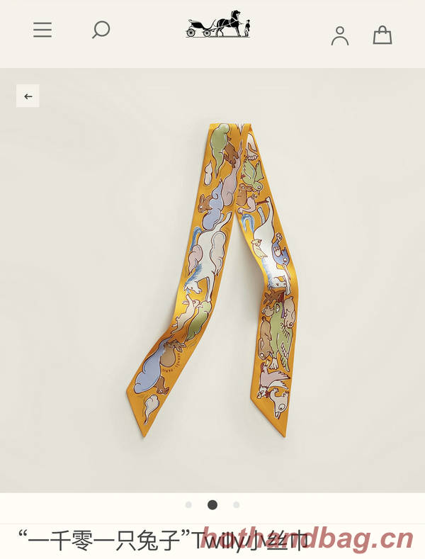 Hermes Scarf HEC00758