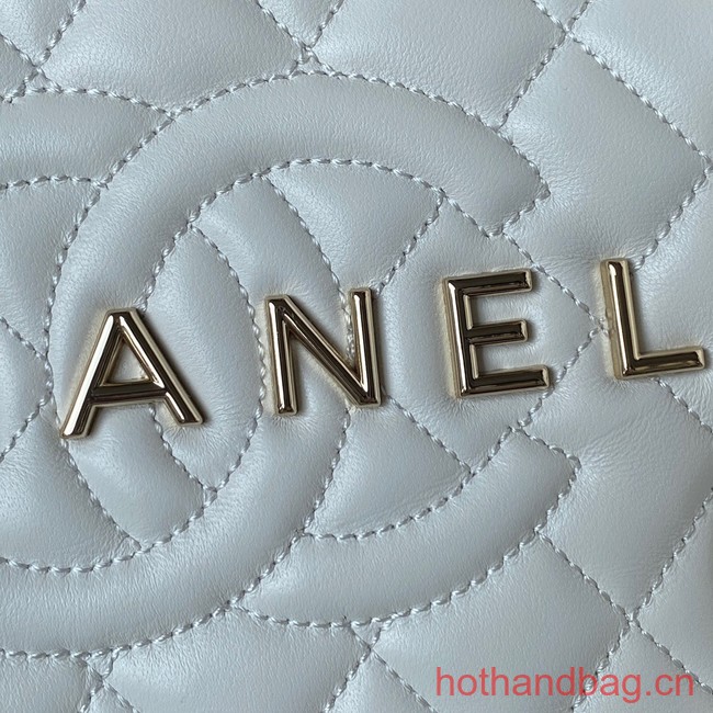 CHANEL STAR HANDBAG AS4579 white