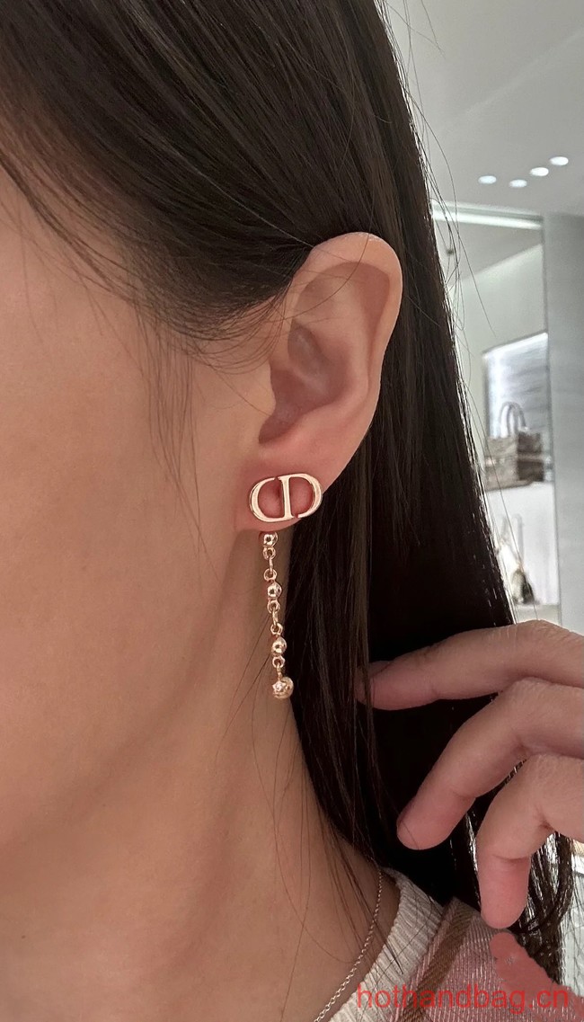 Dior Earrings CE12919