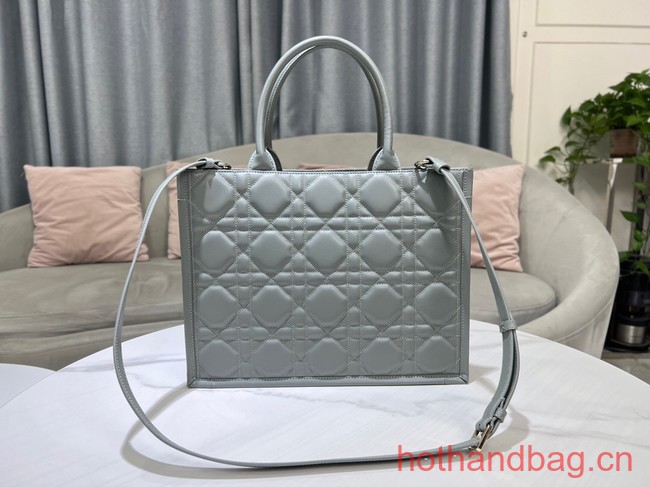 MEDIUM DIOR BOOK TOTE Calfskin M1296ZG gray