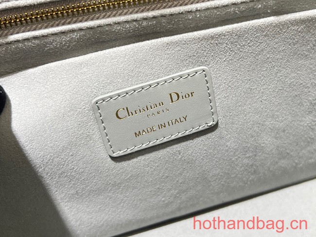 SMALL DIOR BOOK TOTE Calfskin M1295ZG gray