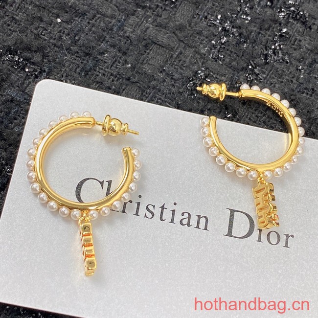 Dior Earrings CE12950