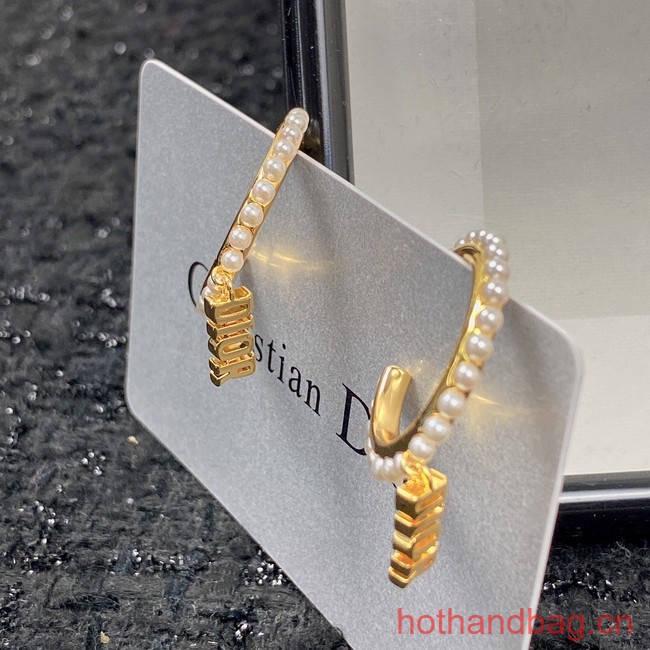 Dior Earrings CE12950