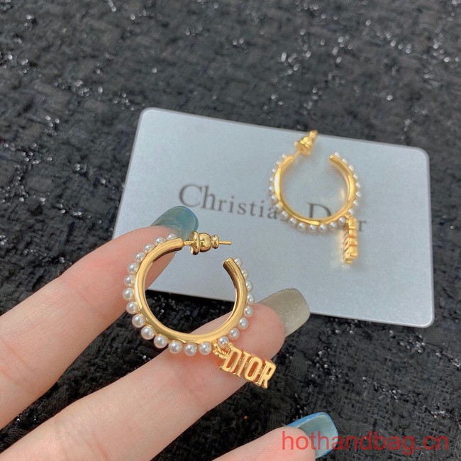 Dior Earrings CE12950