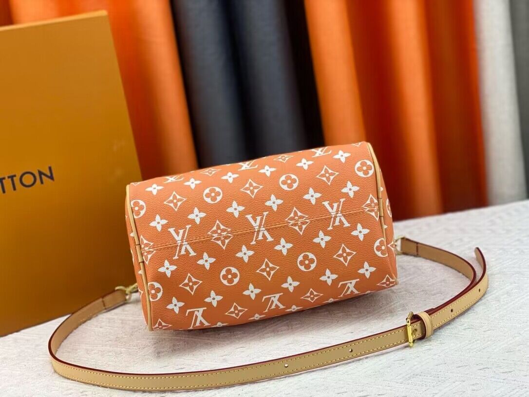 Louis Vuitton LV2024 Speedy 25 M24424 Orange