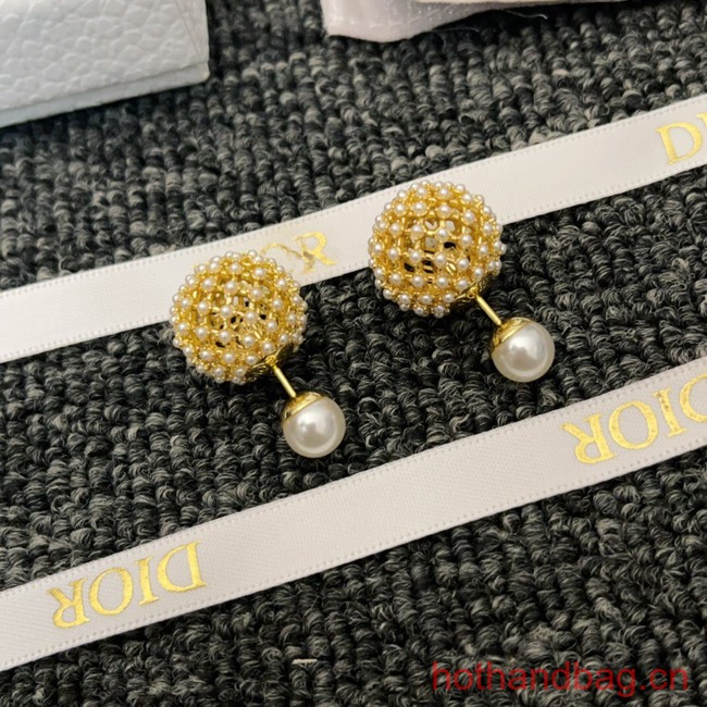 Dior Earrings CE13032