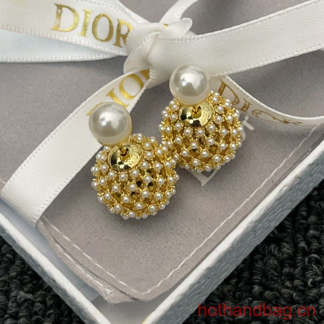 Dior Earrings CE13032