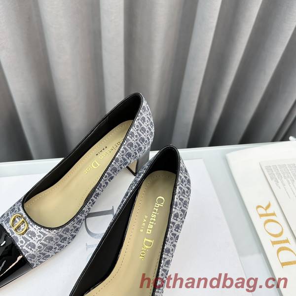 Dior Shoes DIS00248