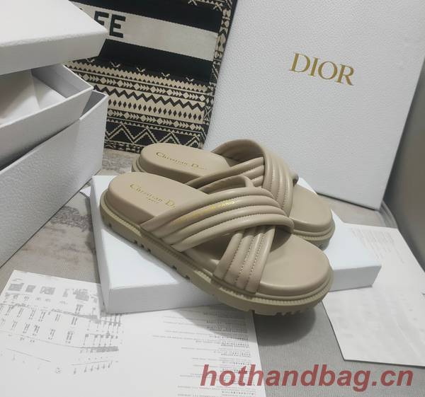 Dior Shoes DIS00308