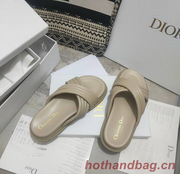 Dior Shoes DIS00308