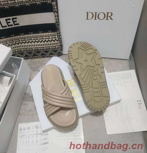 Dior Shoes DIS00308