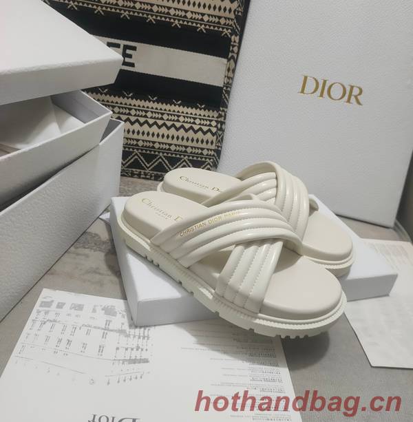 Dior Shoes DIS00309