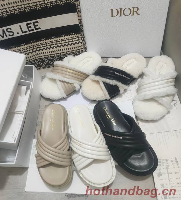 Dior Shoes DIS00310