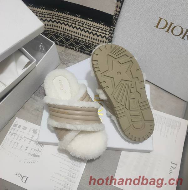 Dior Shoes DIS00311