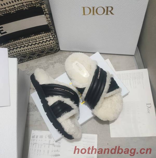 Dior Shoes DIS00313