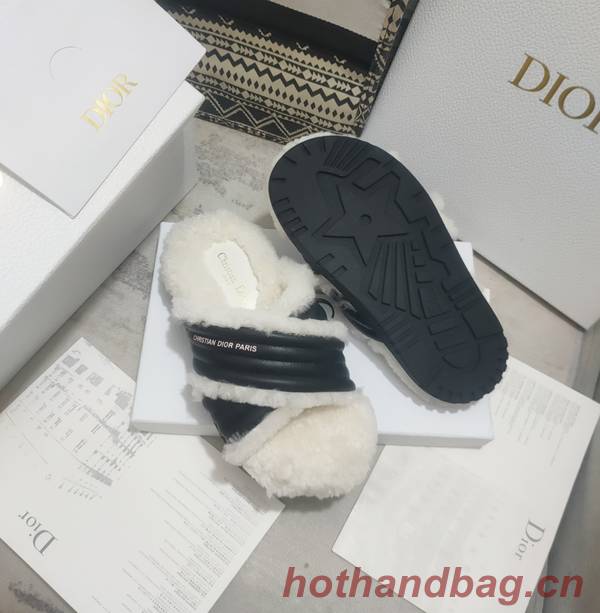 Dior Shoes DIS00313