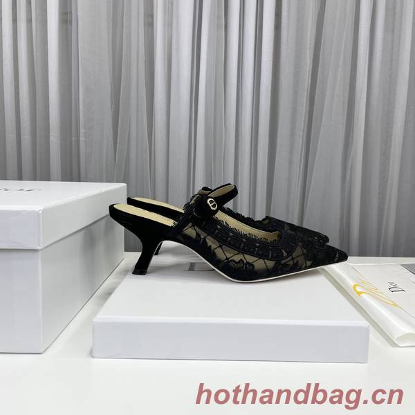 Dior Shoes DIS00315