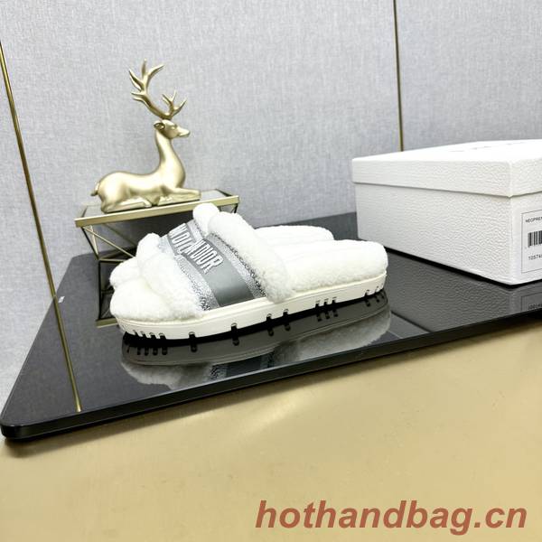 Dior Shoes DIS00320