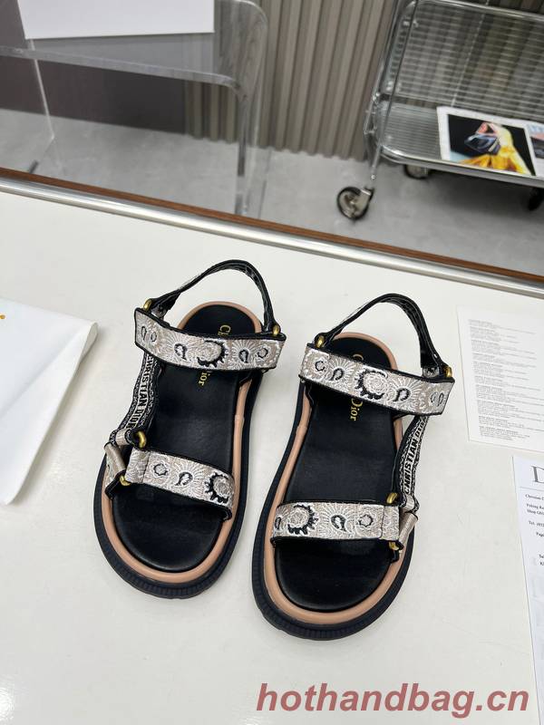 Dior Shoes DIS00340