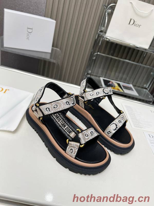 Dior Shoes DIS00340