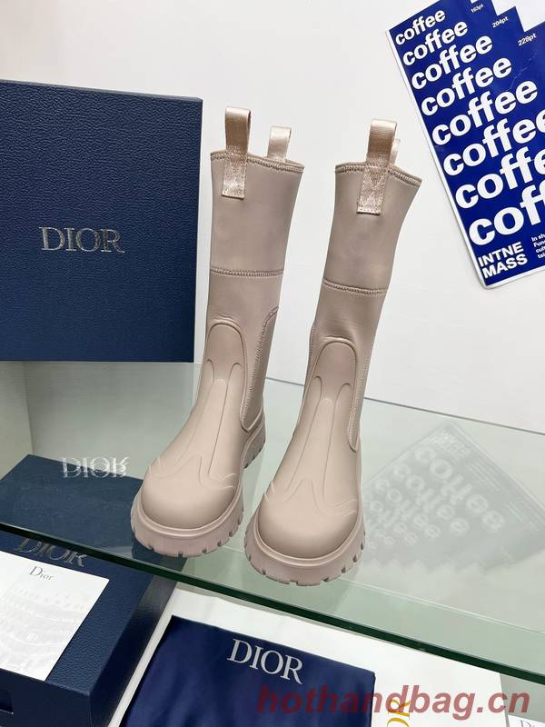 Dior Shoes DIS00414