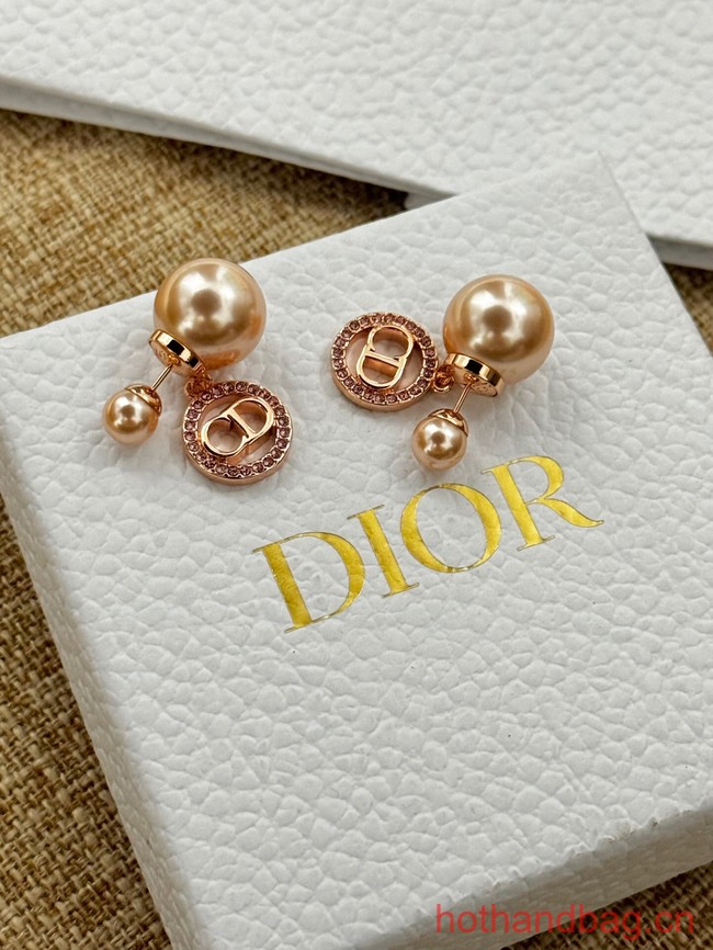 Dior Earrings CE13075