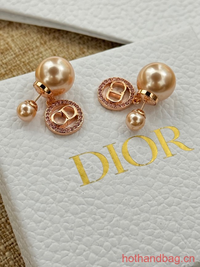 Dior Earrings CE13075