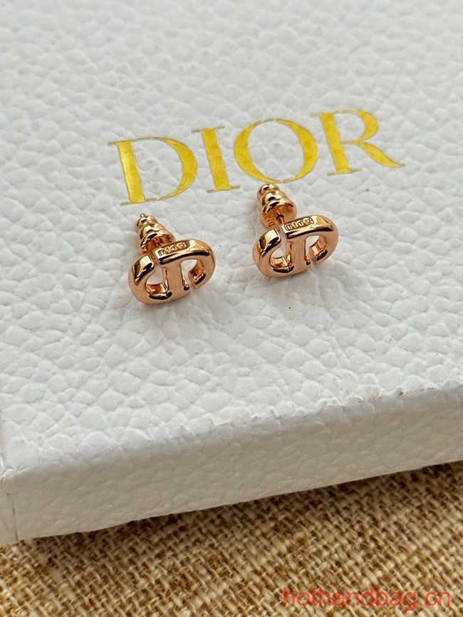 Dior Earrings CE13077