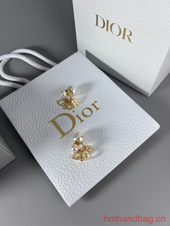 Dior Earrings CE13078