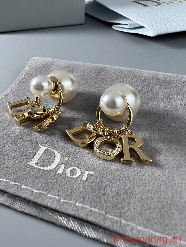 Dior Earrings CE13078