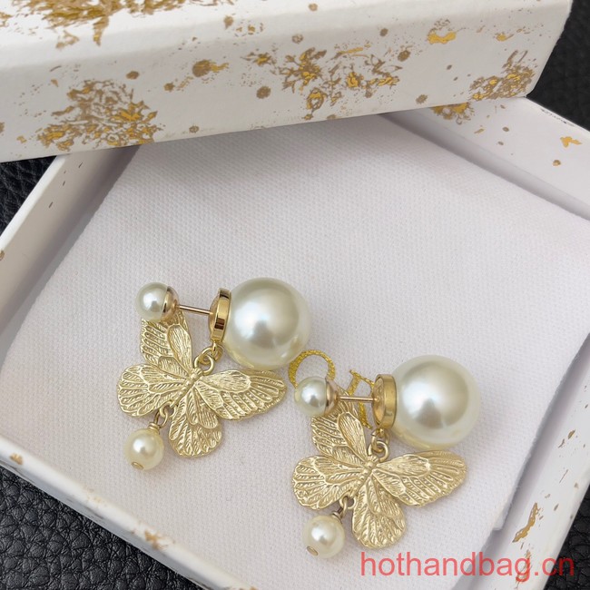 Dior Earrings CE13107