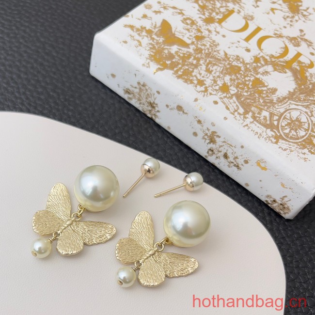 Dior Earrings CE13107