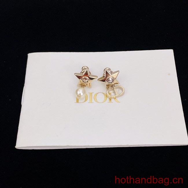 Dior Earrings CE13129