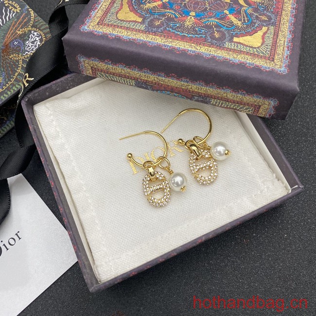 Dior Earrings CE13203