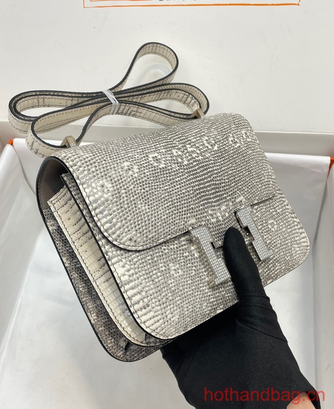 Hermes Original Lizard skin Constance Bag BK7828-2