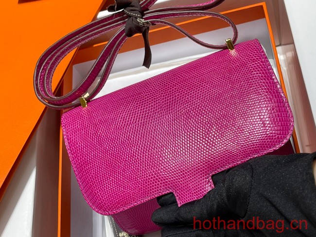 Hermes Original Lizard skin Constance Bag BK7828-5