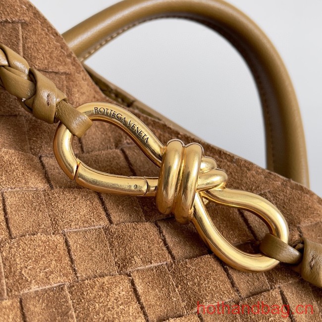 Bottega Veneta Small Andiamo 743568 Acorn