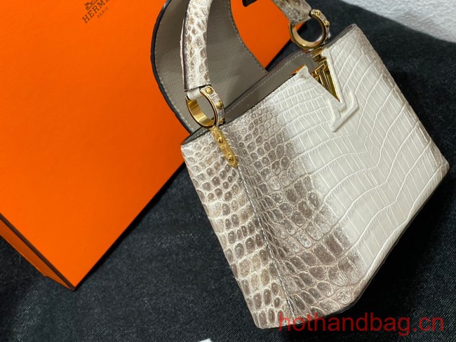 Louis Vuitton Capucines MM N93419 gray&white